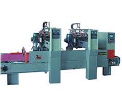 Lychee Surface Processing Machine